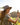 Outdoor - hutwelt